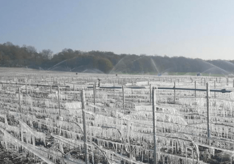 Comment anticiper le gel des cultures avec les capteurs IoT ?