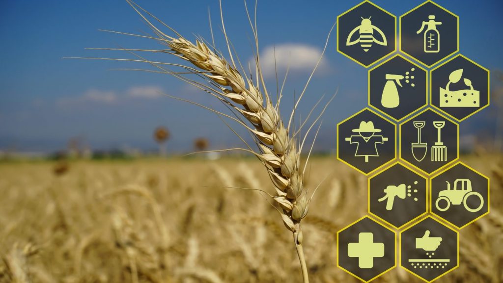 Image représentant l'agriculture connectée, avec des capteurs IoT, des drones et des applications mobiles utilisés pour surveiller et gérer les cultures.