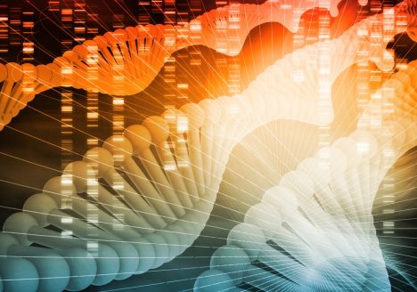 Recherche & développement