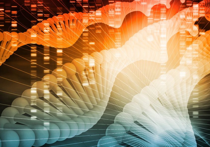 Recherche & développement